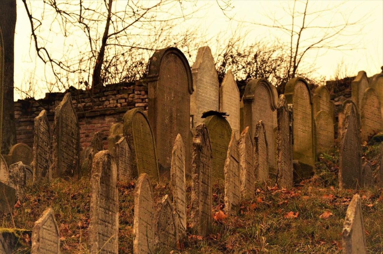 Penzion David Třešť Bagian luar foto